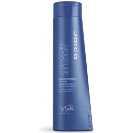 Joico Moisture Recovery Cond 250ml